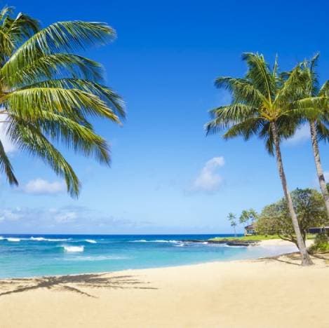 Hawaii travel nurse jobs