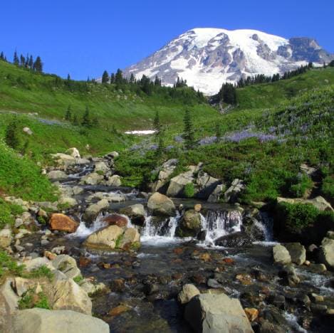 Washington skyline and travel nurse jobs
